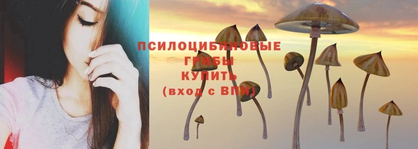 прущие крисы Инсар