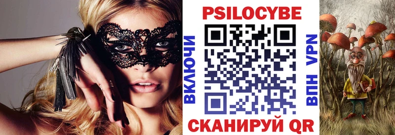 Купить где  Карасук  Псилоцибиновые грибы GOLDEN TEACHER 